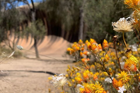 The Big Wave Rock (Private) Day Tour - Attractions Perth 3