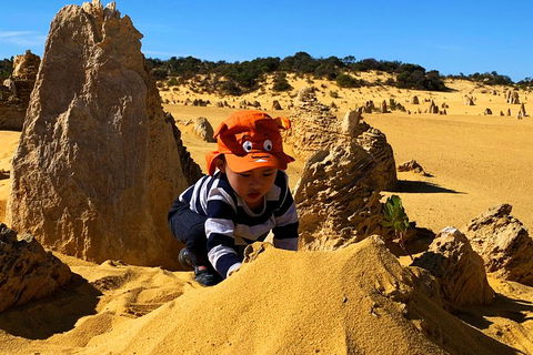 Perth Kids Explorer (Private) Day Tour - Attractions Perth 3