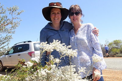 Spring Wildflower Private Day Tours