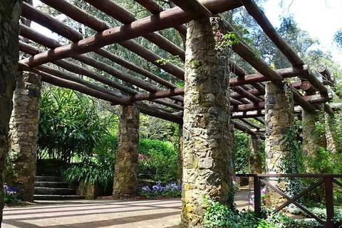 Spring Wildflower (Private) Day Tours - Attractions Perth 2