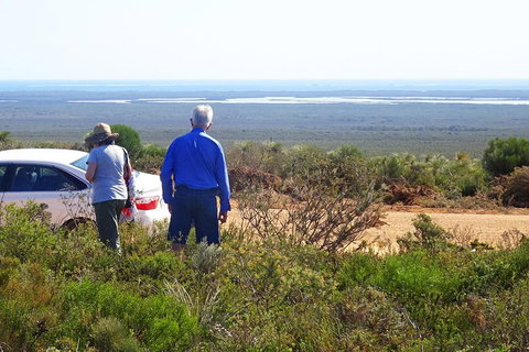 Spring Wildflower (Private) Day Tours - Attractions Perth 3