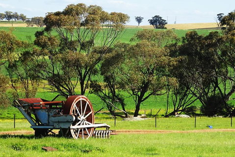 Spring Wildflower (Private) Day Tours - Attractions Perth 4