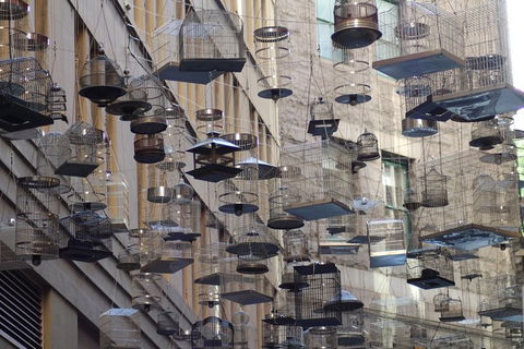 Sydney Scavenger Hunt: Inside Sydney - Attractions Perth 0