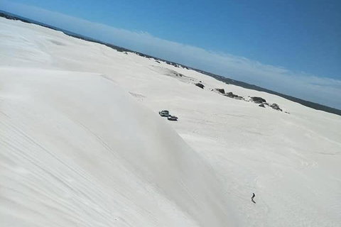 Yanchep & Lancelin - Wildlife, Cave And Sands - Attractions Perth 3