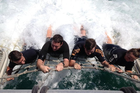 Cruise In Moreton Bay Marine Park And Moreton Island - Attractions Perth 0
