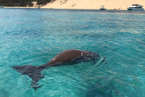 Cruise In Moreton Bay Marine Park And Moreton Island - Attractions Perth 2