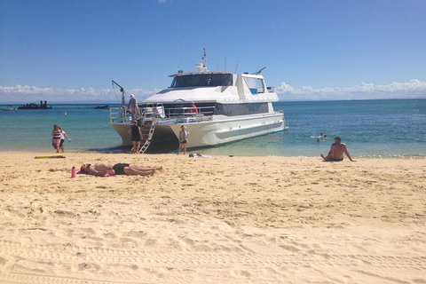 Cruise In Moreton Bay Marine Park And Moreton Island - Attractions Perth 4
