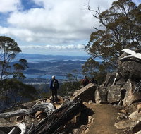 kunanyi / Mt Wellington Explorer Bus - 2 Hour Return Tour - Attractions Perth