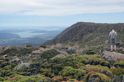 Kunanyi/Mt Wellington Explorer Bus - One Way Tour - Attractions Perth 0