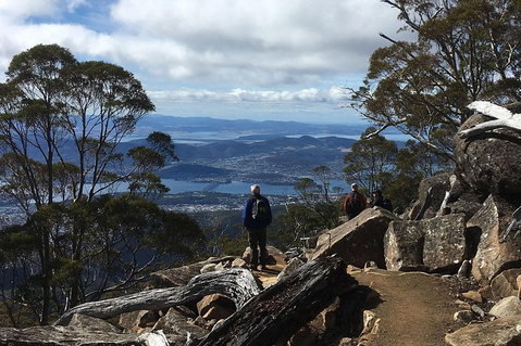 Kunanyi/Mt Wellington Explorer Bus - One Way Tour - Attractions Perth 2