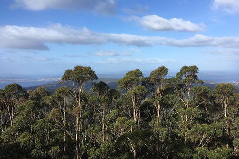 Kunanyi/Mt Wellington Explorer Bus - One Way Tour - Attractions Perth 5