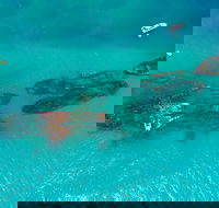 Private Tangalooma Wrecks Tour - Attractions Perth