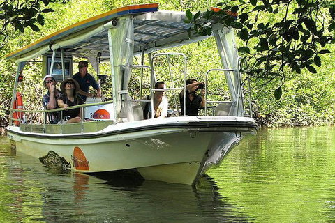 3-Day Best Of Cairns Combo: The Daintree Rainforest, Great Barrier Reef, And Kuranda - Attractions Perth 4