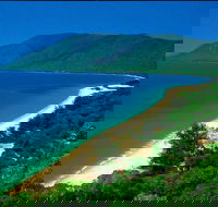 Cairns Reef and Rainforest Combo Daintree Rainforest and the Great Barrier Reef - Attractions Perth