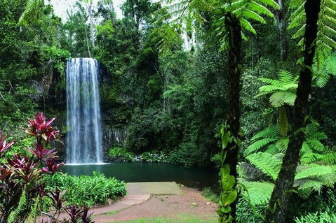 Paronella Park And Millaa Millaa Falls Full-day Tour From Cairns - Attractions Perth 3