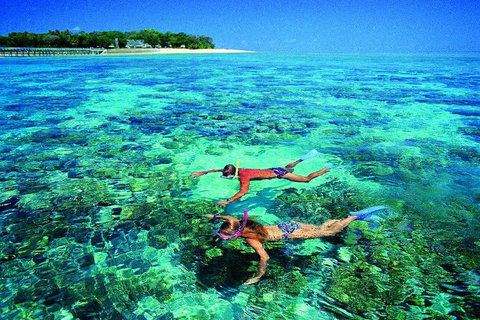 4-Day Cairns With Great Barrier Reef And Daintree Rainforest - Attractions Perth 2
