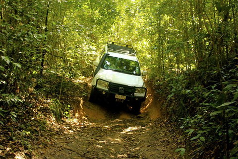 Cairns National Park Rainforest And Waterfall Small Group Tour Shore Excursion - Attractions Perth 0