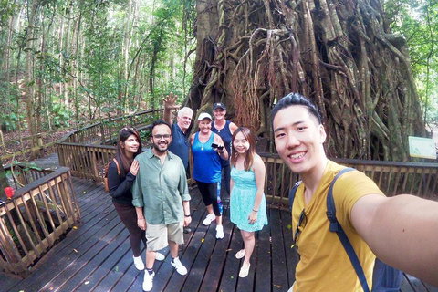 Cairns National Park Rainforest And Waterfall Small Group Tour Shore Excursion - Attractions Perth 2