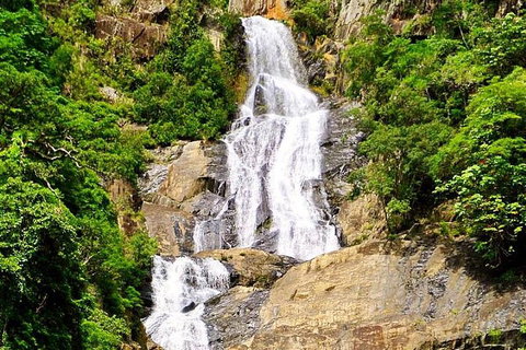 Cairns National Park Rainforest And Waterfall Small Group Tour Shore Excursion - Attractions Perth 4