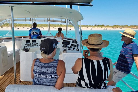 Snubfin Dolphin Eco Cruise From Broome - Attractions Perth 5