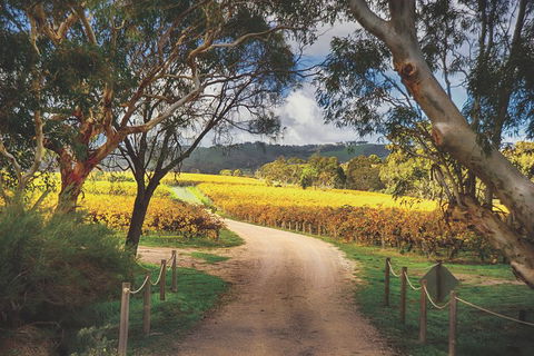 McLaren Vale Winery Small Group Tour With Wine Tasting And Lunch - Attractions Perth 1