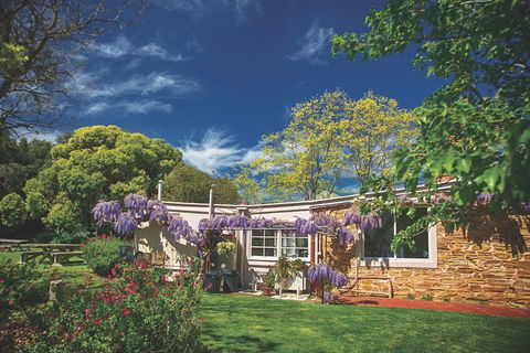 McLaren Vale Winery Small Group Tour With Wine Tasting And Lunch - Attractions Perth 2