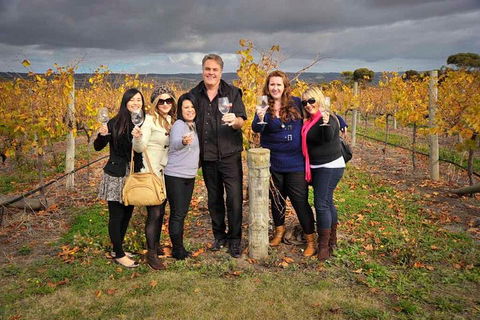 McLaren Vale Winery Small Group Tour With Wine Tasting And Lunch - Attractions Perth 3