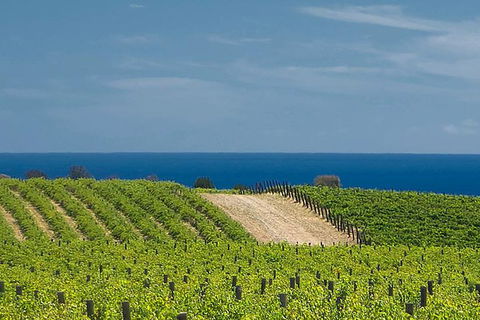 McLaren Vale Winery Small Group Tour With Wine Tasting And Lunch - Attractions Perth 4