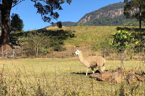 Waterfall Tour - Attractions Perth 2