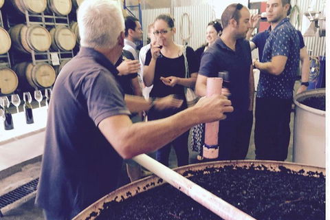Luxury Private Mclaren Vale Wine Tour - Attractions Perth 4