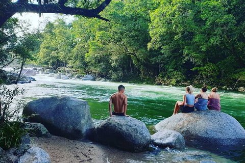 Full Day Tour In The Daintree - Attractions Perth 3