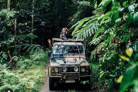 Full Day Tour In The Daintree - Attractions Perth 4