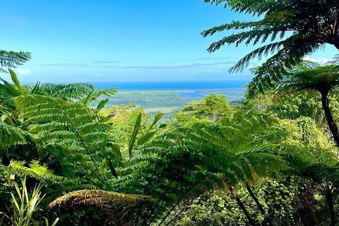 Full Day Tour In The Daintree - Attractions Perth 5