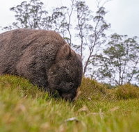 3-Day Cradle Mountain Photography Workshop - Attractions Perth