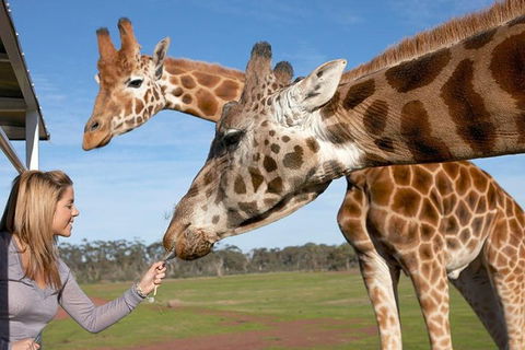 Melbourne City Card (2 Days): Visit Unlimited Attractions! - Attractions Perth 1