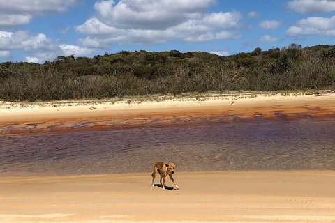 Pippies 3 Days 2 Nights Fraser Island Tour - Attractions Perth 2