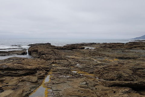 Luxury Private Great Ocean Road Tour Up To 11 People - Entire Vehicle - Attractions Perth 1