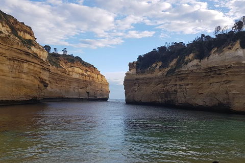 Luxury Private Great Ocean Road Tour Up To 11 People - Entire Vehicle - Attractions Perth 2