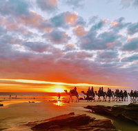 1 Hour Broome Sunset Camel Tour - Attractions Perth