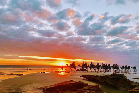 1 Hour Broome Sunset Camel Tour - Attractions Perth 0