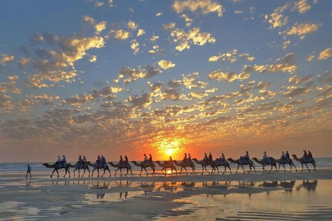 1 Hour Broome Sunset Camel Tour - Attractions Perth 1
