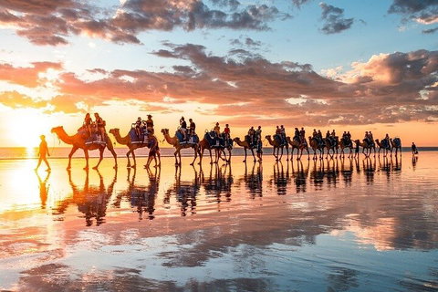 1 Hour Broome Sunset Camel Tour - Attractions Perth 2