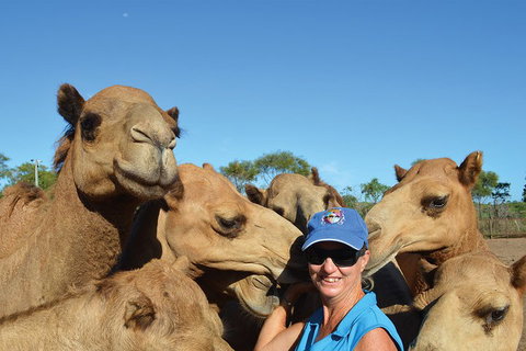 1 Hour Broome Sunset Camel Tour - Attractions Perth 3