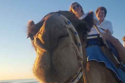 1 Hour Broome Sunset Camel Tour - Attractions Perth 4