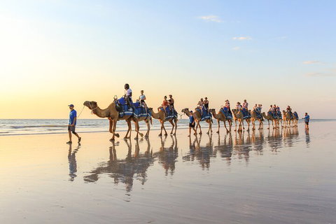 1 Hour Broome Sunset Camel Tour - Attractions Perth 5
