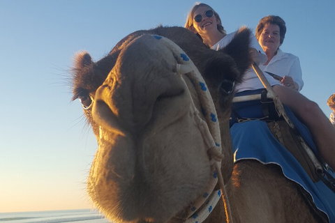 Broome Pre-sunset Camel Tour 30 Minutes - Attractions Perth 1