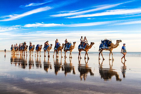 Broome Pre-sunset Camel Tour 30 Minutes - Attractions Perth 2