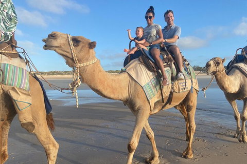 Broome Pre-sunset Camel Tour 30 Minutes - Attractions Perth 3