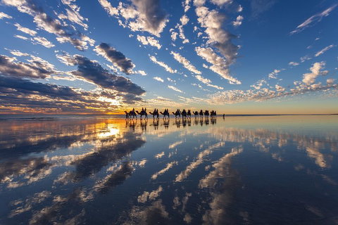 Broome Pre-sunset Camel Tour 30 Minutes - Attractions Perth 4