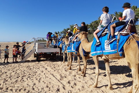 Broome Pre-sunset Camel Tour 30 Minutes - Attractions Perth 5
